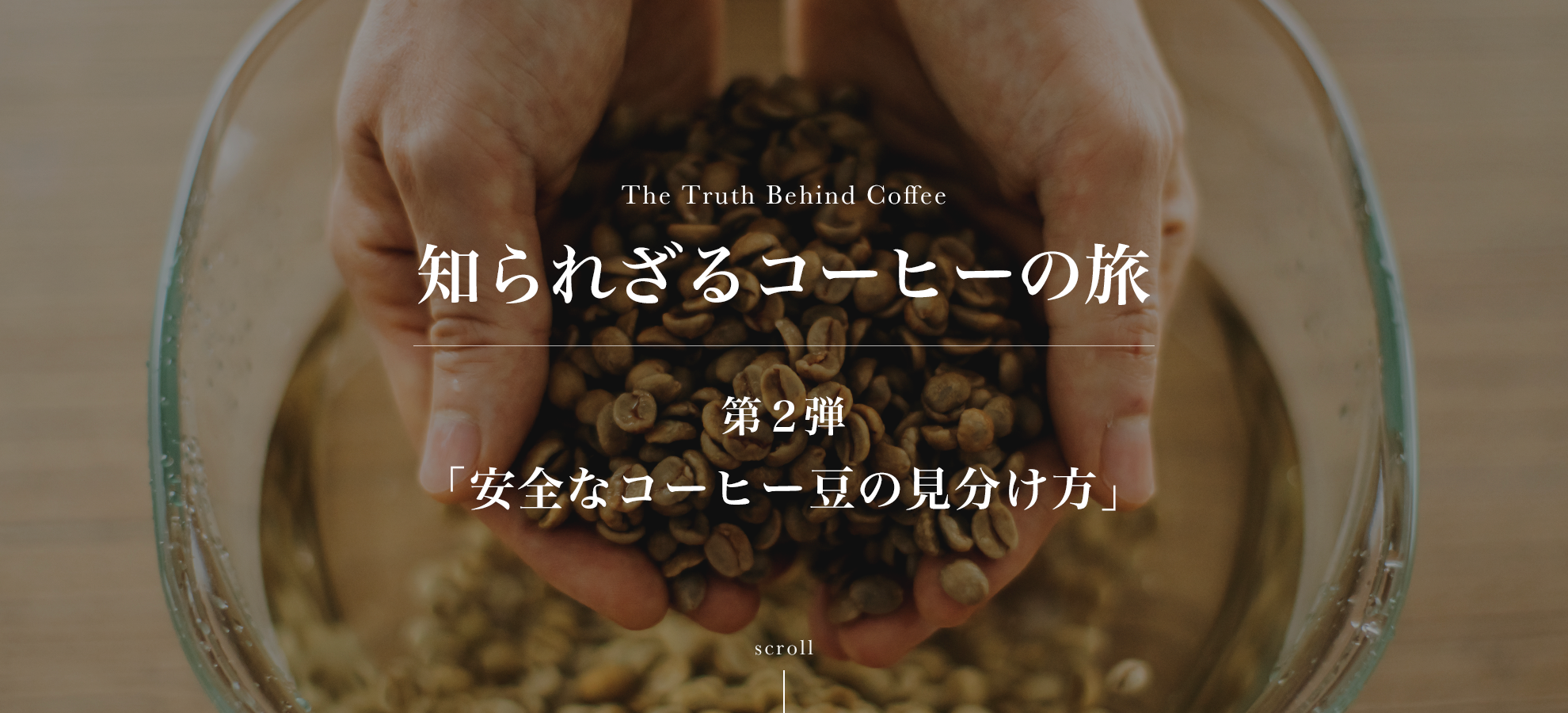 コーヒーの旅２-安全なコーヒー豆の見分け方