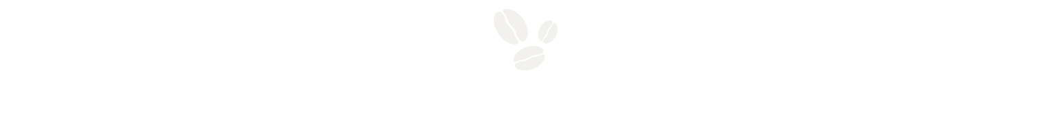 ハンドピックの詳細と欠点豆の見分け方