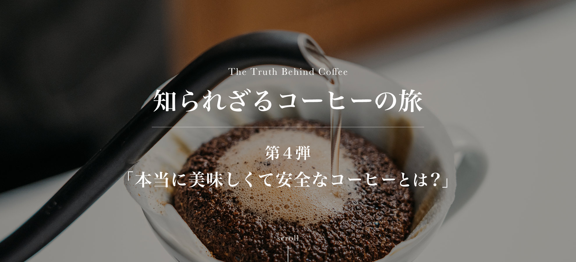 コーヒーの旅４-本当に美味しくて安全なコーヒーとは？