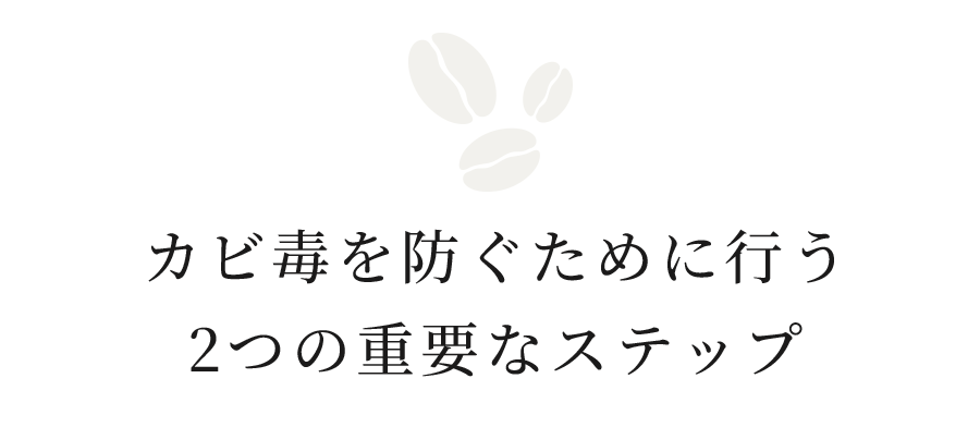 カビ毒を防ぐために行う2つの重要なステップ